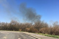 Požár u Hostivařské přehrady: Hasiči se živlem bojovali na půlkilometrovém úseku