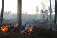 Na Novojičínsku hořel les: Situaci zhoršil vítr