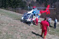 Ženu zavalil kmen, muž spadl ze stromu: Pro zraněné na severu Moravy letěl vrtulník