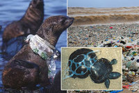 Vysíláme živě: Oceány dusí plastový odpad, co všechno má EU zakázat?