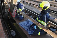 Pro labuť sešplhali hasiči: Uvázla v železničním mostě