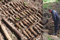 VIDEO: Obří nález válečné munice! 700 kg střeliva se válelo v lese na Brněnsku
