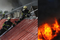 FOTOGALERIE: Požár v Hostivaři prověřil nejen hasiče. Zásah zvládli na výbornou