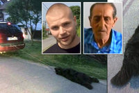 Důchodce za autem usmýkal psa k smrti: Svědek vzal spravedlnost do vlastních rukou?! Tři zlomená žebra