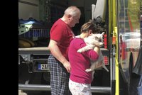 Na Žižkově hořel byt. Hasiči z domu zachránili dvanáct lidí a psa