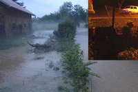 Přívalový déšť spláchl Tachovsko: Hasiči vodu čerpali ze sklepů i rodinného domu