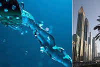 Češi se chystají měnit vzduch na vodu. Chtějí zazářit na Expu v Dubaji