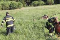 Lovila »kešky« a uvízla v rašeliništi: Ženu museli vytáhnout hasiči