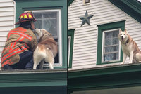 Dojemné foto! Šťastný pejsek dal pusu hasiči, který ho zachránil ze střechy