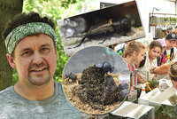 VIDEO: Živá havěť v botanické zahradě: Brouk válející trus i největší český cvrček lákají na výstavu bezobratlých