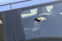 Další batole zavřené na sluníčku v autě: Matka přišla po 11 minutách