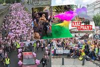 Kam o víkendu v Praze? Na růžový nebo veganský pochod,  na barevný festival nebo na oslavy republiky do Hvězdy