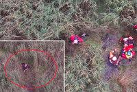 Slavný spisovatel se vydal na procházku a uvízl v bažině: Záchranáři ho našli díky dronu!