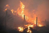 Mohutný požár v Anglii vyhnal lidi z domovů. Kouř zaváněl jako uzené makrely