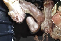 V mraženém kuřeti našla lidský prst! Zaměstnanec masokombinátu jich při směně prý ztratil několik