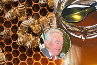 Kvalitní med prodáváme do ciziny. Češi pak musí jíst šizené „šmejdy“ z Číny