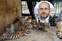 Kauza tygřích jatek: Už rok jsem měl podezření, říká ředitel pražské zoo Miroslav Bobek