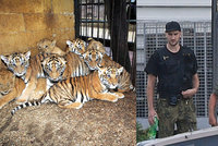 Kdo jsou zadržení v kauze tygřích jatek: Má jít o Berouska, preparátora a Vietnamce