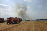 Sucho sužuje Prahu: Magistrát zakázal pálení ohňů v lesích i parcích