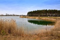 V Praze přibude rybník na rybolov. Od podzimu se s prutem a udicí můžete vydat k Hliníku