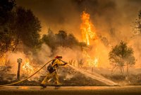 Požáry pustoší Kalifornii: Shořelo 6 lidí a 650 domů. V akci je 12 tisíc hasičů
