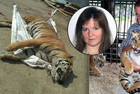 Ze zookoutku rovnou na jatka: Jak končí tygří koťata, se kterými se chodí mazlit děti?
