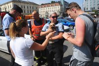 Pejsek se vařil v rozpáleném autě na Florenci! Vyčerpané zvíře vysvobodili hasiči