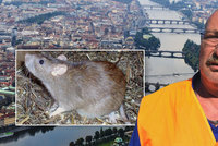 Udržuje město čisté. Deratizátor Zbyněk (53) už přes 20 let hubí potkany a štěnice. „Není to rutina,“ říká