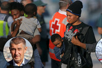 „Sluníčkář“ zpražil Babiše: Odmítnutí migrantů je chyba, čísla o muslimech nesedí