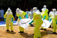 Masoví zabijáci z Afriky: Vědci chtějí vyhubit komáry a zatočit s malárií, ebola řádí dál