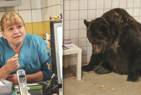Hvězda seriálu Krejzovi Tomicová: Krotila nadrženého medvěda!
