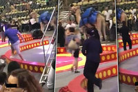 Běsnící velbloud v cirkuse zranil šest dětí a jednoho dospělého. Vyděsila ho rána lopatou.