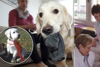 První „psí lékařka“ půjde do důchodu: Fanynka pomohla na Bulovce stovkám lidí a těší i personál