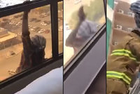 Hrůzné video: Služebná visela z balkonu. Šéfová ji místo pomoci natáčela