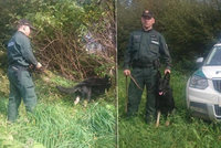 Policejní pes zachránil psychicky labilní ženu: Chtěla spáchat sebevraždu