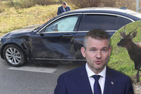 Slovenský premiér skončil v nemocnici. Do auta mu během jízdy narazil jelen