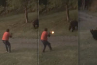 Hrůzné video: Rozzuřená medvědice se vrhla na tátu od dětí! Zahnal ji až střelbou