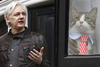 Assange si musí začít platit složenky a uklízet po kočce. Prohrál soud s Ekvádorem