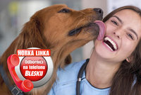 Až 58 % Čechů má doma zvířecího mazlíčka! Jak si vybrat psa z útulku? Jak předělat domácího tyrana? Poradí odborníci na Horké lince