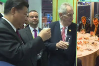 Zeman na pivu i večeři v Číně: „Chytil se do vlastních slibů,“ míní politolog