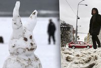 Stavění sněhuláků, nebo Vánoce na blátě? Víme, jaká bude letošní zima