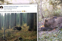 Medvěd míří na Ostravu! Na hoře Smrk ho vyfotil Král cyklistiky Kulhavý