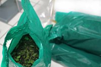 Ruzyňští celníci na letišti zabavili 40 kg rostlinné drogy. Do Čech mířila z Etiopie