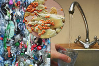 Vodu, pivo a střeva lidem zamořují mikroplasty. Nad zdravím Čechů visí otazník