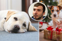 Pražský veterinář o »psích Vánocích«: Jak přilepšit svým čtyřnohým miláčkům, a nezničit jim zdraví?