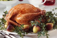 Vánoční pohroma: Z tradičního jídla se salmonelou nakazilo přes 200 lidí v USA