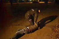 Hon na „honiče“ ve Vysočanech: Cizinec se ukájel před nezletilými dívkami, policisté ho zadrželi