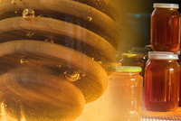 Poznáte kvalitní med? Udělejte si doma bublinový test! Plus 8 faktů, které se vyplatí znát
