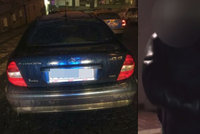 Zfetovaný a v kradeném autě: Hříšníka zadrželi policisté, poznali ho „po čuchu“