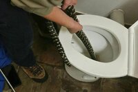 Ženu uštkla krajta, když seděla na záchodě. Had se tam schovával před vedrem